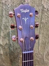 Taylor 【最終入荷‼】724ce V-Class -Hawaiian Koa- #1208243076【48回迄金利0%対象】_4