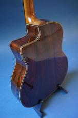 Stringphonic Advanced 14D_4