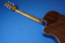 Stringphonic Advanced 14D_9