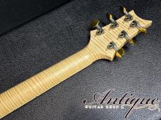 Paul Reed Smith [PRS] Wood Library P245 Singlecut LTD-2015 /Killer Figured-Neck & Honduras Rosewood FB /Paua Abalone Inlay w/Piezo "Private Stock Grade"_9