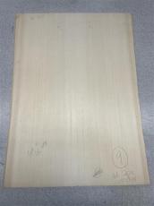 Taylor 【Bob Taylor Reserved】BTO Custom GA Island Vine -Bob Taylor Reserved Brazilian Rosewood-_2