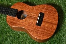 Millar CPA-E Concert【S/N 072】