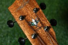 Millar CPA-E Concert【S/N 072】_15