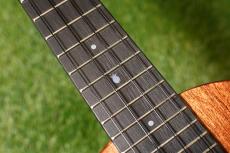 Millar CPA-E Concert【S/N 072】_16