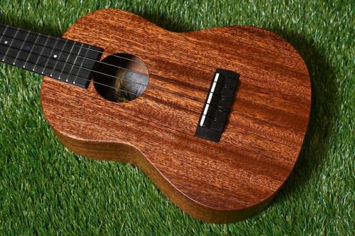 Millar CPA-E Concert【S/N 077】