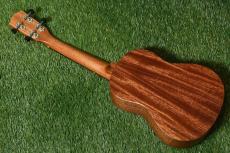 Millar CPA-E Concert【S/N 077】_4