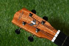 Millar CPA-E Concert【S/N 077】_5