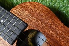 Millar CPA-E Concert【S/N 077】_9