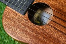 Millar CPA-E Concert【S/N 077】_10