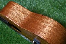 Millar CPA-E Concert【S/N 077】_13