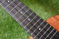 Millar CPA-E Concert【S/N 077】_16