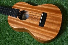 Millar CPA-E Concert【S/N 078】