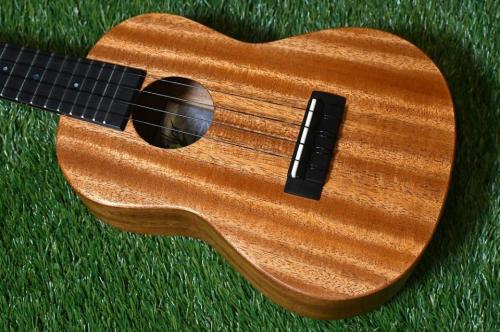 Millar CPA-E Concert【S/N 078】