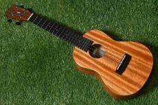 Millar CPA-E Concert【S/N 078】_3