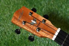 Millar CPA-E Concert【S/N 078】_5