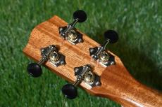 Millar CPA-E Concert【S/N 078】_6