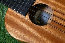 Millar CPA-E Concert【S/N 078】_10