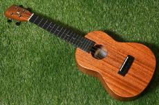 Millar CPA-E Concert【S/N 079】_3