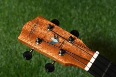 Millar CPA-E Concert【S/N 079】_5