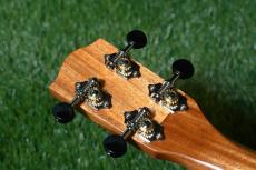 Millar CPA-E Concert【S/N 079】_6