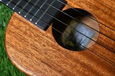 Millar CPA-E Concert【S/N 079】_10