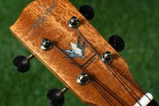 Millar CPA-E Concert【S/N 079】_15