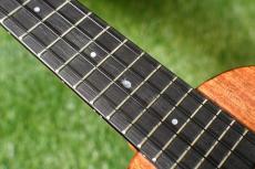 Millar CPA-E Concert【S/N 079】_16