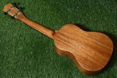 Millar CPA-E Concert【S/N 080】_4