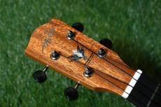 Millar CPA-E Concert【S/N 080】_5