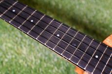 Millar CPA-E Concert【S/N 080】_7