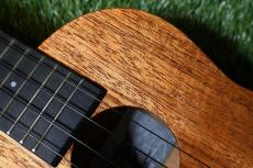 Millar CPA-E Concert【S/N 080】_9