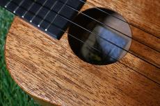 Millar CPA-E Concert【S/N 080】_10