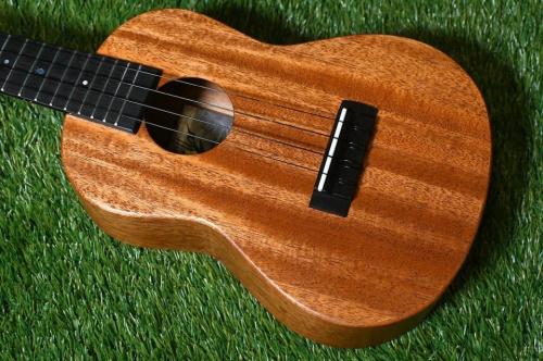 Millar CPA-E Concert【S/N 081】