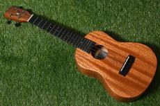 Millar CPA-E Concert【S/N 081】_3