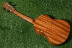 Millar CPA-E Concert【S/N 081】_4