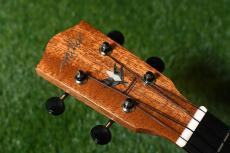 Millar CPA-E Concert【S/N 081】_5