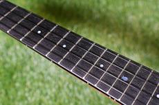 Millar CPA-E Concert【S/N 081】_7