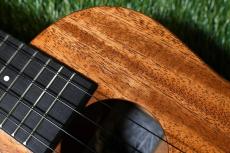 Millar CPA-E Concert【S/N 081】_9