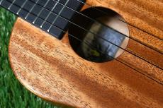 Millar CPA-E Concert【S/N 081】_10