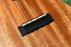 Millar CPA-E Concert【S/N 081】_11