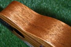 Millar CPA-E Concert【S/N 081】_13