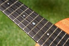 Millar CPA-E Concert【S/N 081】_16