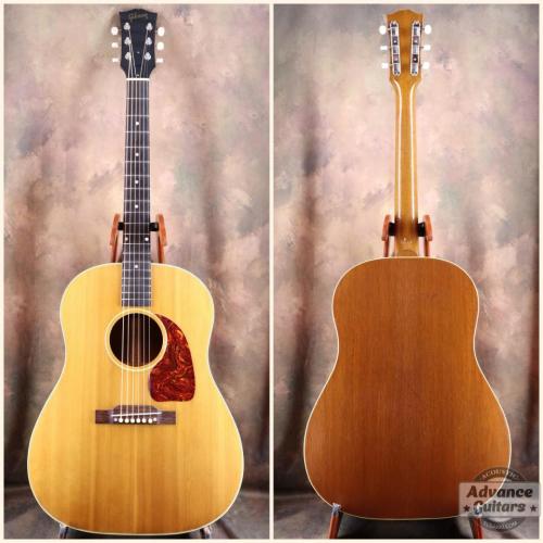 Gibson 1951年製 J-50