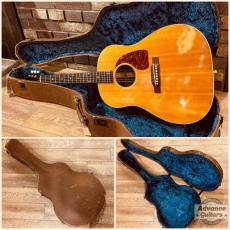 Gibson 1951年製 J-50_3