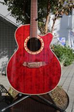 Takamine PT-508_2