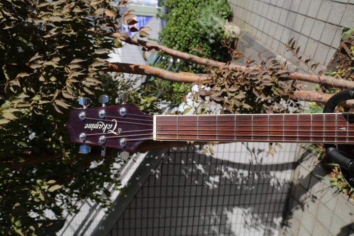 Takamine PT-508 2000年 Used 1209988 Takamine(タカミネ)【楽器