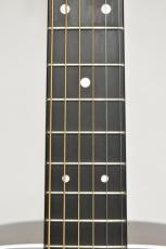 Martin D-13E Ziricote #2996769【ジリコテSIDE&BACK】_10