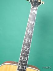 Gibson Doves In Flight_5