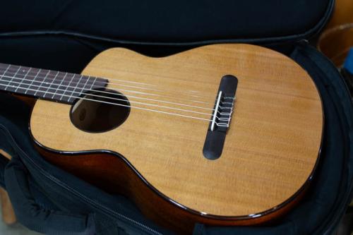 aNueNue aNN-MN14E アヌエヌエ aNNMN14E ミニナイロン マイク搭載 ミニクラシックギター