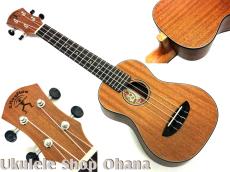 aNueNue [aNN-MCM] ミニコンサート マホガニー合板